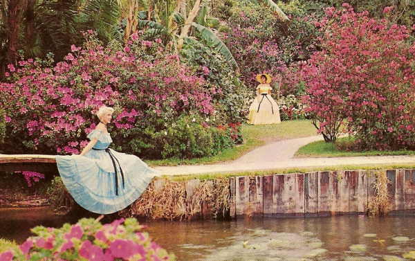 Photo of a Southern Belle at Cypress Gardens.