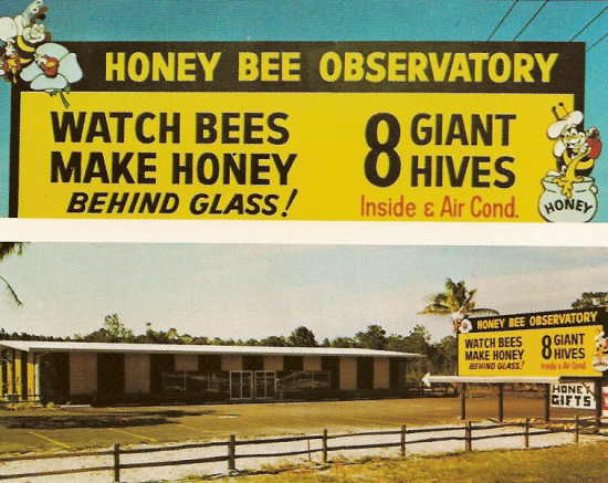 Honey Bee Factory